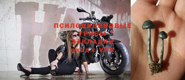 прущий лед Арсеньев