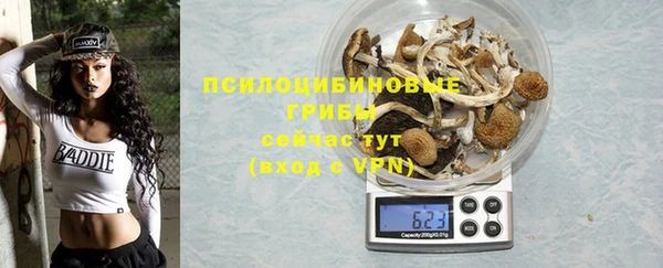 каннабис Аркадак